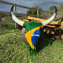 Crânio Bovino Real Para Decoração - Brasil