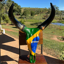 Crânio Bovino Real Para Decoração - Brasil