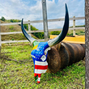 Crânio Bovino Real Para Decoração - Brasil e Estados Unidos