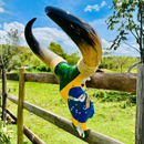 Crânio Bovino Real Para Decoração - Brasil