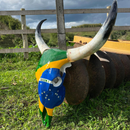 Crânio Bovino Real Para Decoração - Brasil