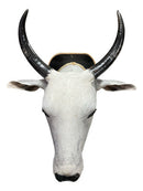 Decoração De Parede Cabeça De Boi Nelore Empalhada Country