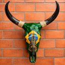 Crânio Bovino Real Para Decoração - Nossa Senhora Aparecida